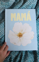 DIA DE LA MADRE