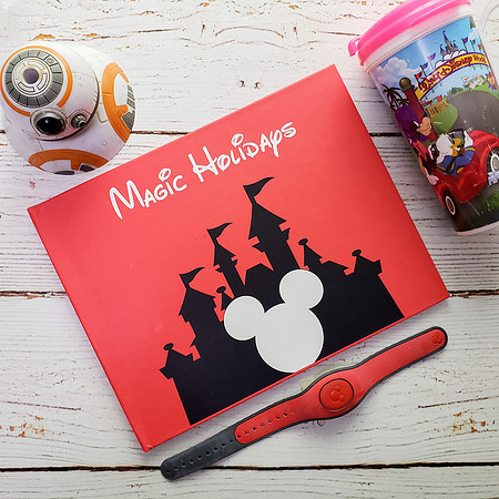 DISNEY ROJO